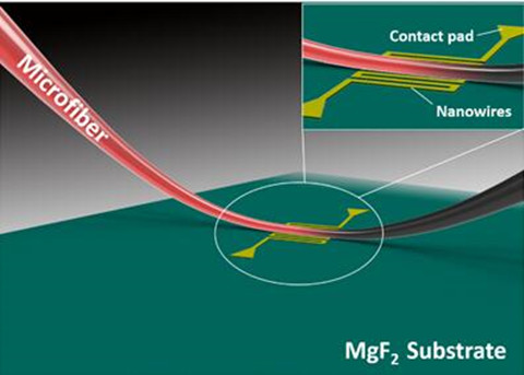 微纳光纤耦合超导纳米线单光子探测器成功研制